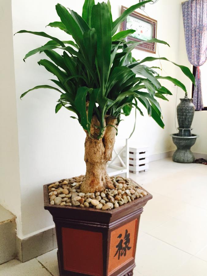 Hotel An Nhien Buon Ma Thuot Luaran gambar